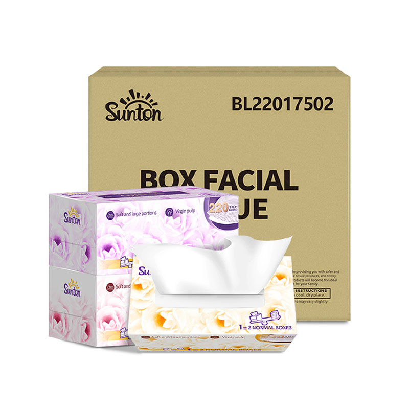 New design Wholesale Disposable paper bathroom towels pack facial tissue 2ply